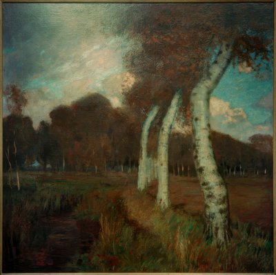 Birches in Autumn by Hans am Ende